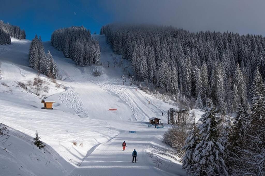 Les Cimes, Chaleureux Studio 4 Pers, 50M Du Telecabine, Vue Degagee Sur Les Pistes, Draps Non Compris Saint-Jean-d'Aulps Exterior photo