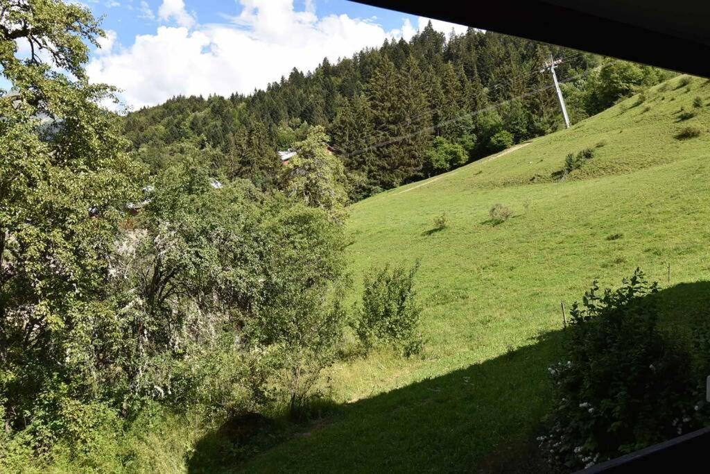 Les Cimes, Chaleureux Studio 4 Pers, 50M Du Telecabine, Vue Degagee Sur Les Pistes, Draps Non Compris Saint-Jean-d'Aulps Exterior photo